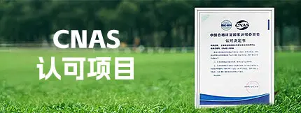 CNAS 认可项目